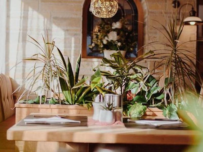 9E2A00C41CE717A9550FF062554D6978