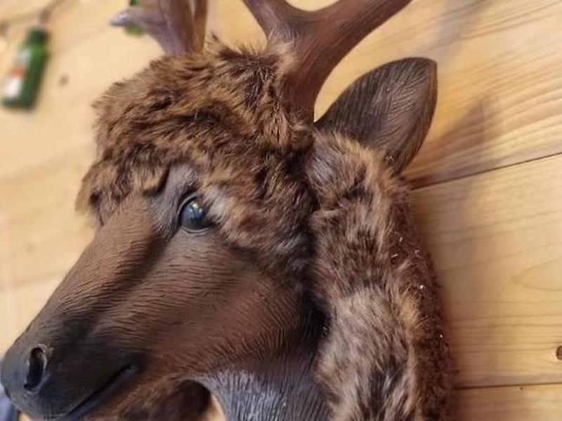 1AE93F9FDB8B35F0C84F052528CA436D