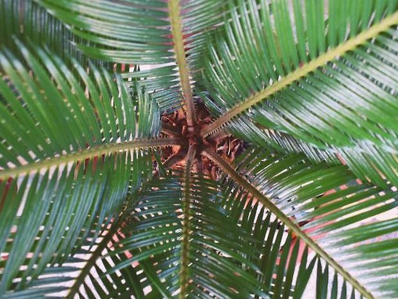 5C589CE5C053AC1302636E2BEFBAA12C