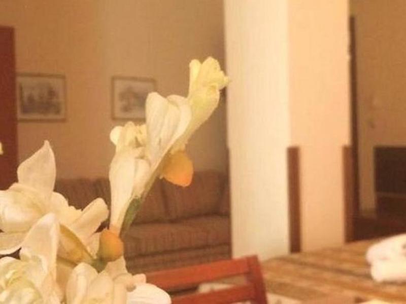 DC34AEBA5DE46699492290A434FE50E5