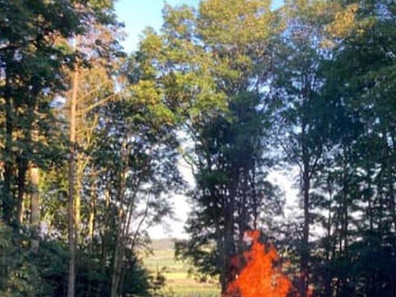 B54CEC4BEC3B772B101AF320F1C476D8