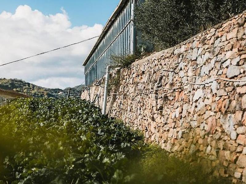 B2AE4AD9A3A55DDF2FB3BF92AF9A92AF