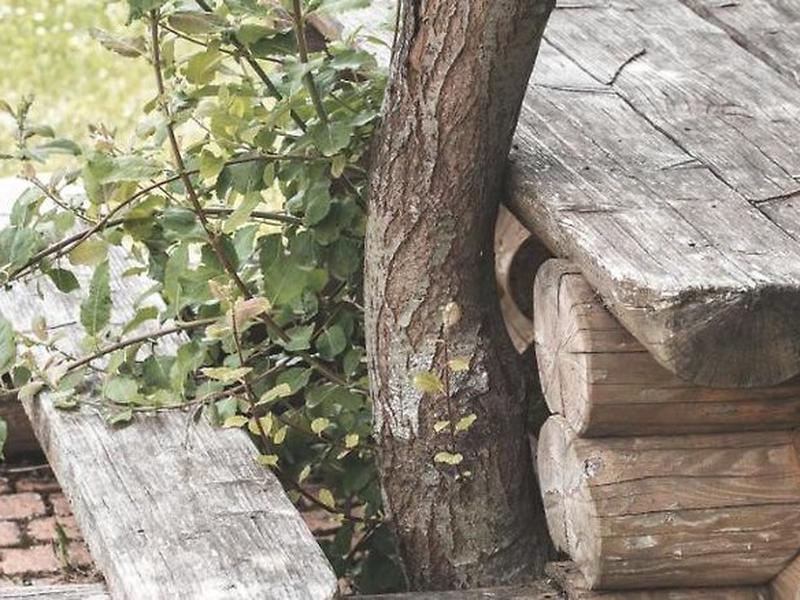 5AF262575E21165E88C796C54F2E6B4E