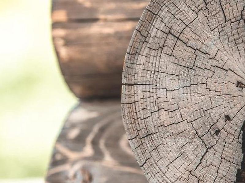 76F64743F9A9F98E402A70BA69738491