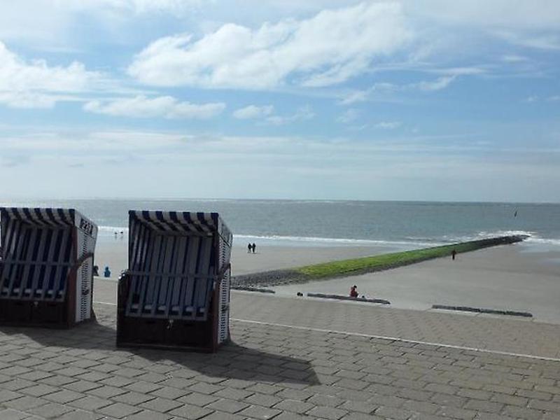 028FA93307649CAD73CD97DA928B5A3E