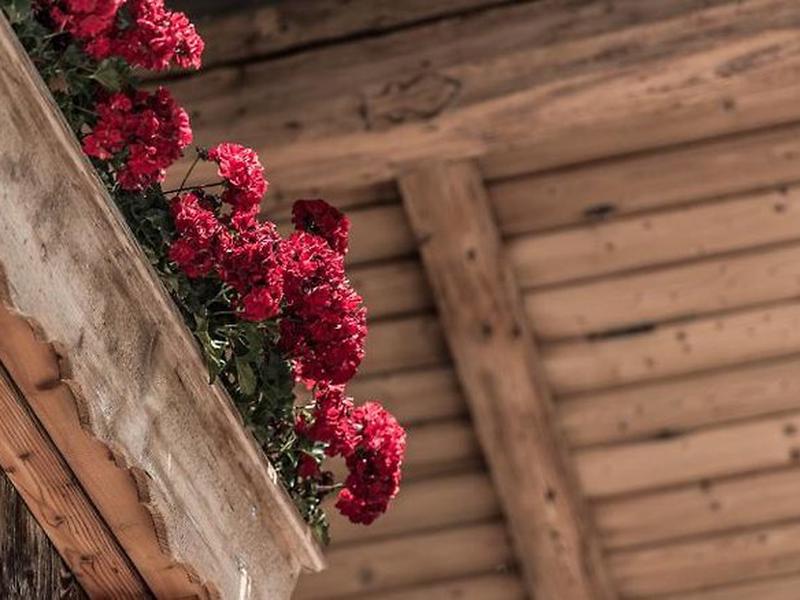 54B9C8CC2EA7DEA7B8C7192DD34C5EB8