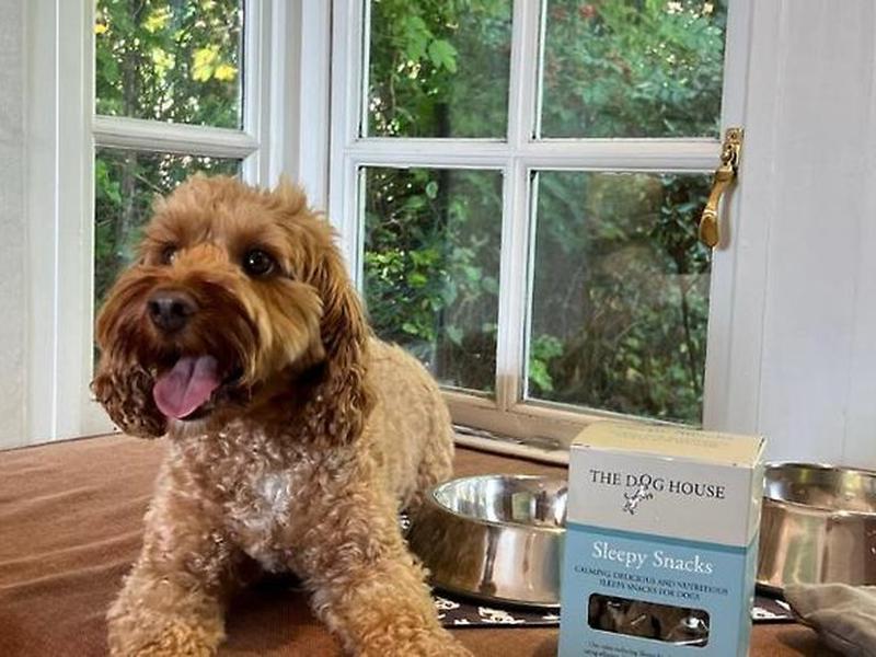 BED6D25BF8C62B890E28530B014CD4DC