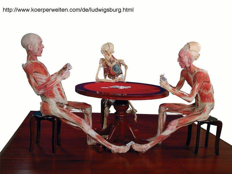 8E70B82D1F33692794BAE0BD8B185D1F