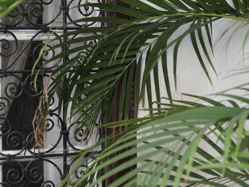 C19DF38B6986FBE1D53E97566F5E680D