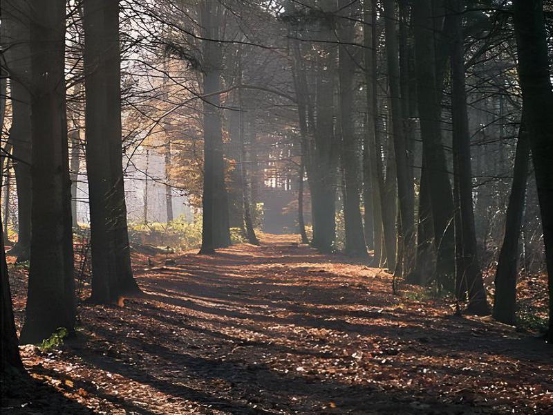 36DB35D9E969E8DA0D1C5FE043BCE4B3