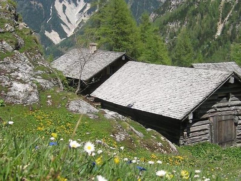 66BFDDD65EA88887C2318F8743692B43