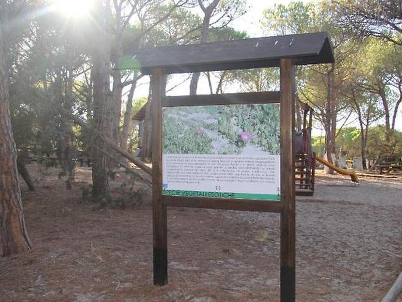 C636CADD9E4A4DE4305A40553ED60C08