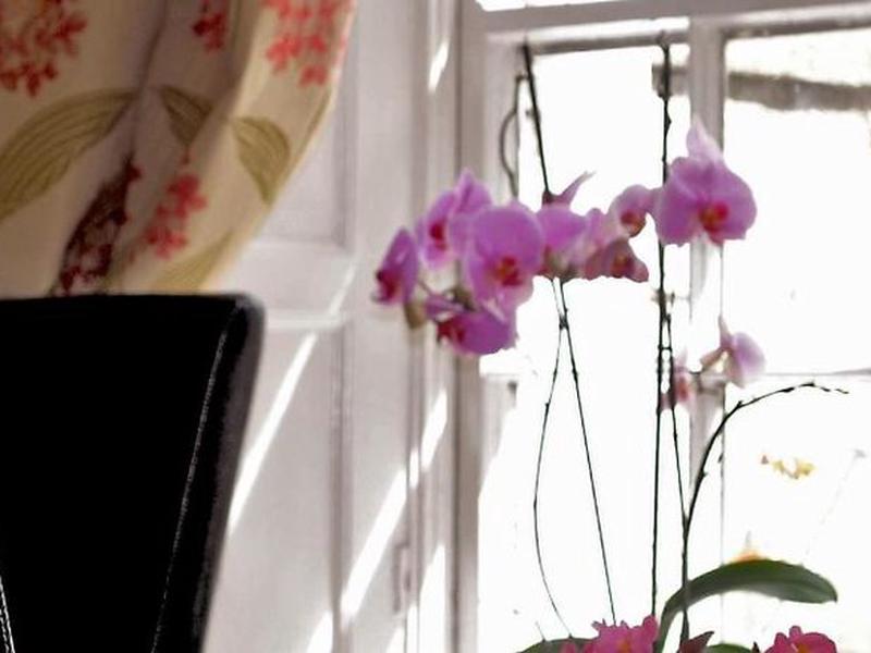 BDCC91855241EE381737A93708F94CE9