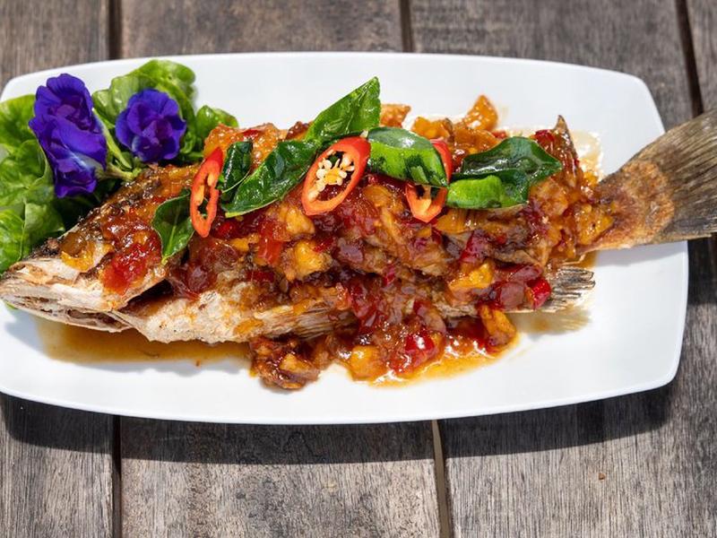 B8CDF71EC956A850E6FAE0316820E35F