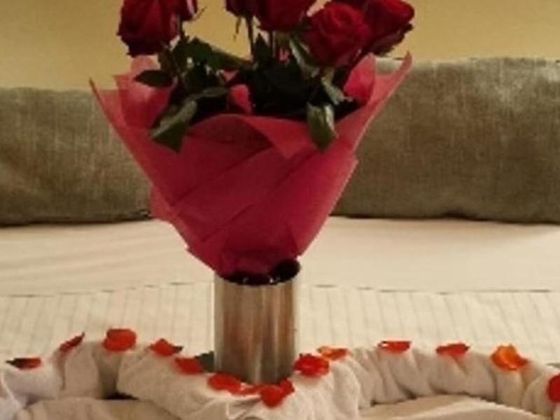 7365A49FF36DA7E73CAB6CED5D8B7309