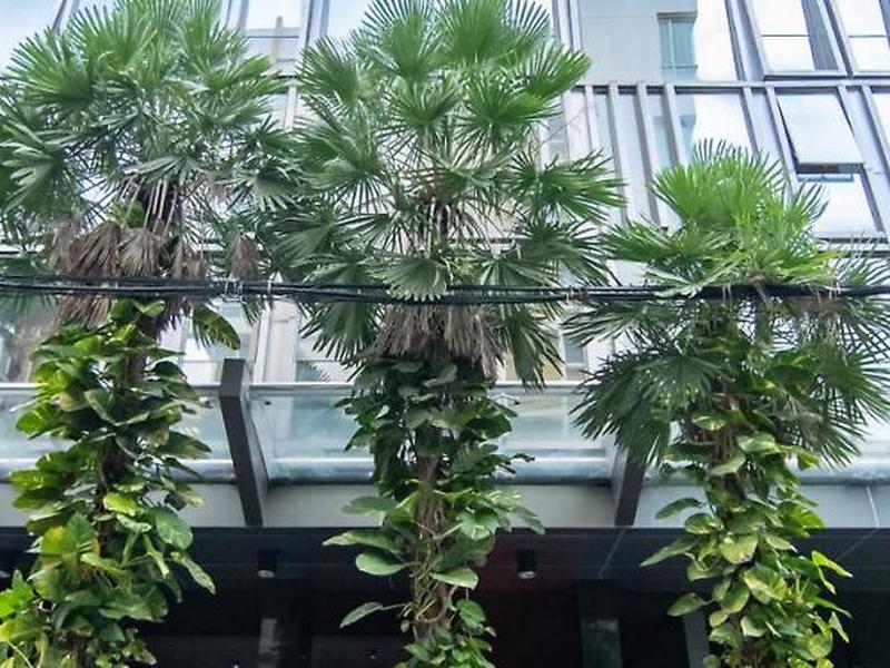 Galleria Sukhumvit 10 Bangkok by Compass Hospitality