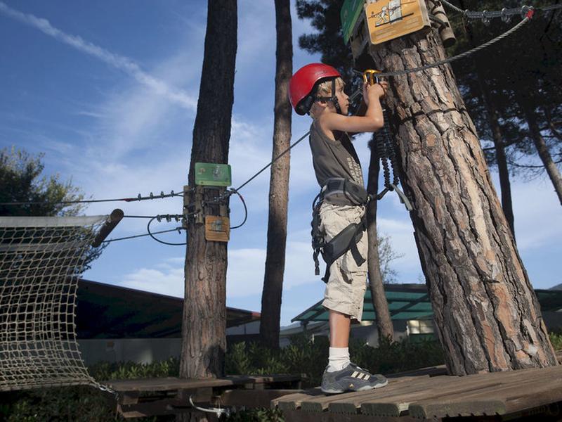 EE7B9211E77A546B77FF018AAC7D8B61