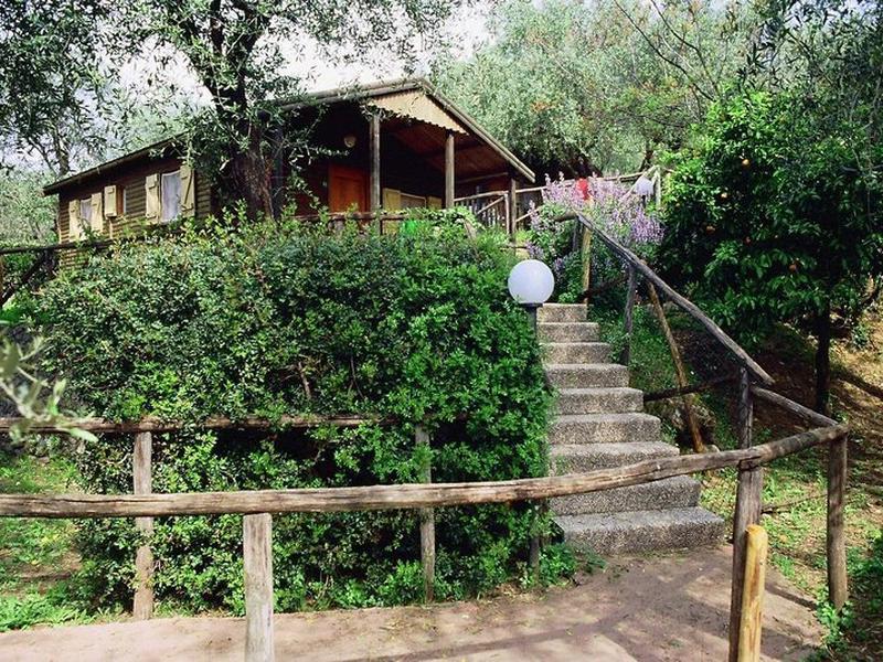 41C8E5BB1E316C1F8313116AD2383E71