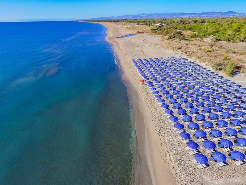 90CE83B09241F9D888A622B31BDDC414