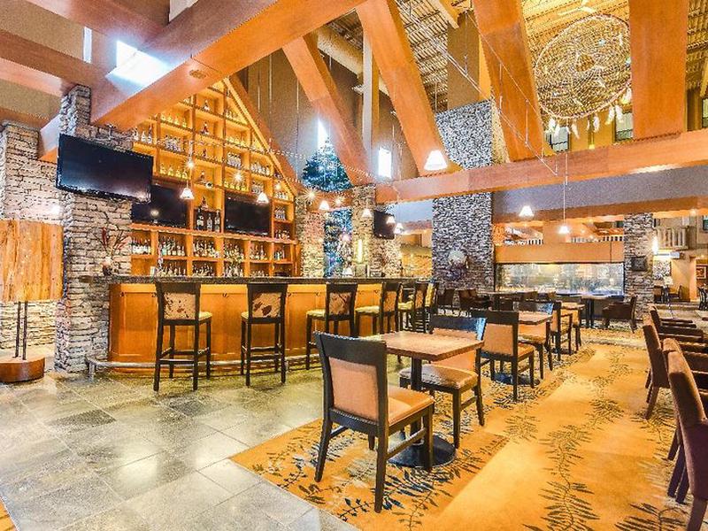 0049A53CF2E22006B4DC5FC6E49CAF8D