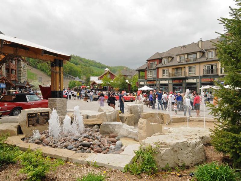 E375E536B8F2BF1BA81D572451B9EE70