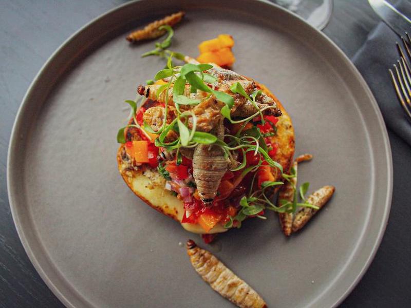 A2E97B9EE6D45E16504536E385AEE999