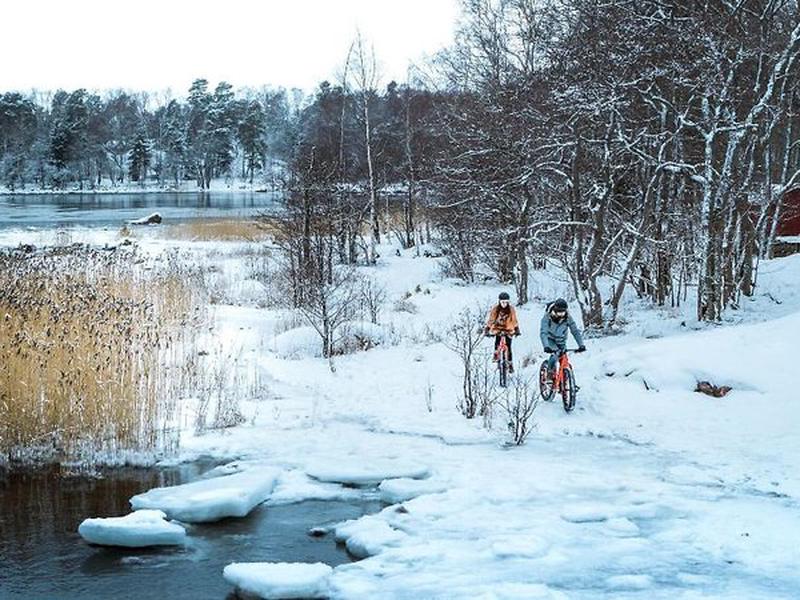 B8D15CD6D02C52E0DAF09D41F1699798