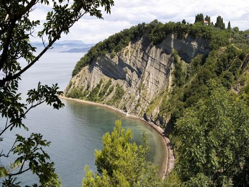 C543F8D9E9DBE6F22EF13B5A23849859