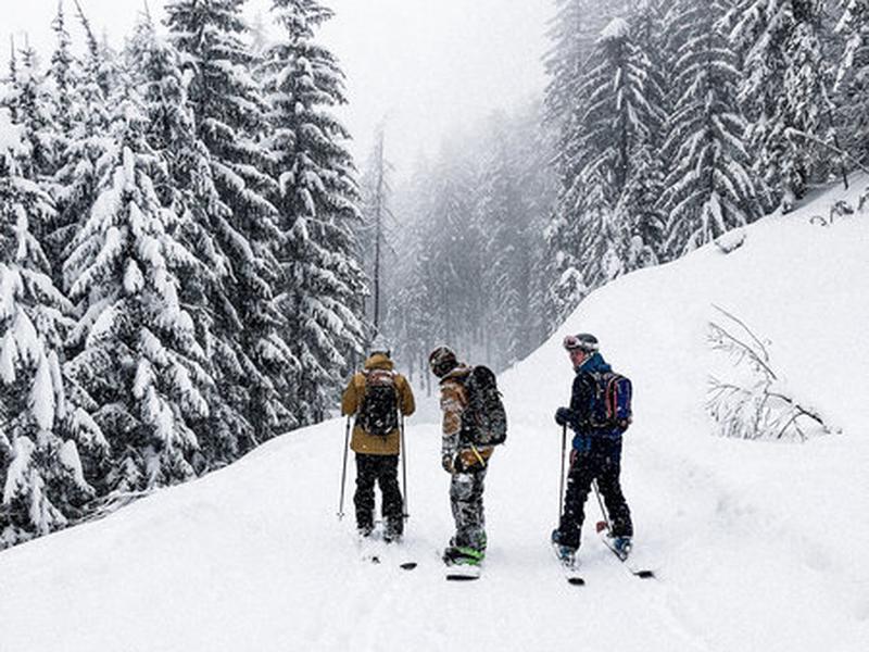 BA704037467800DCD8314EB5D7B4F05B