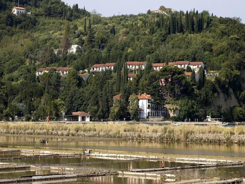 A667BBA9A662E5E175E87E71DD3752F1