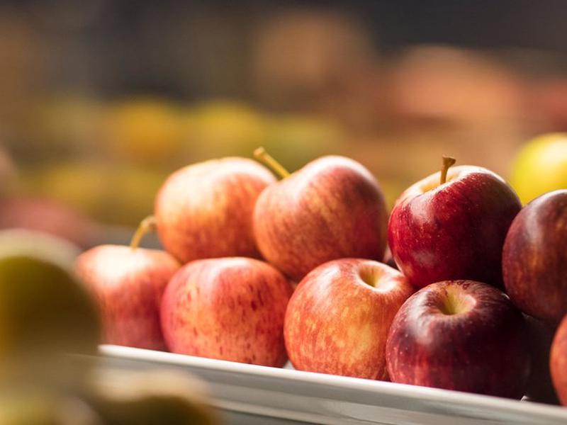 2FD4D0A178FD62DE123BC883BC675049