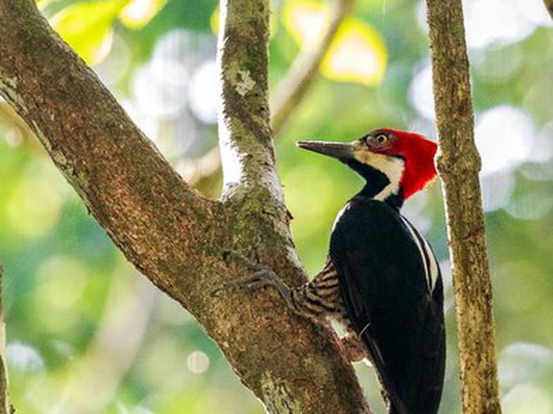 3FECE6BD0DECCC9B49E5CE23D40A4074