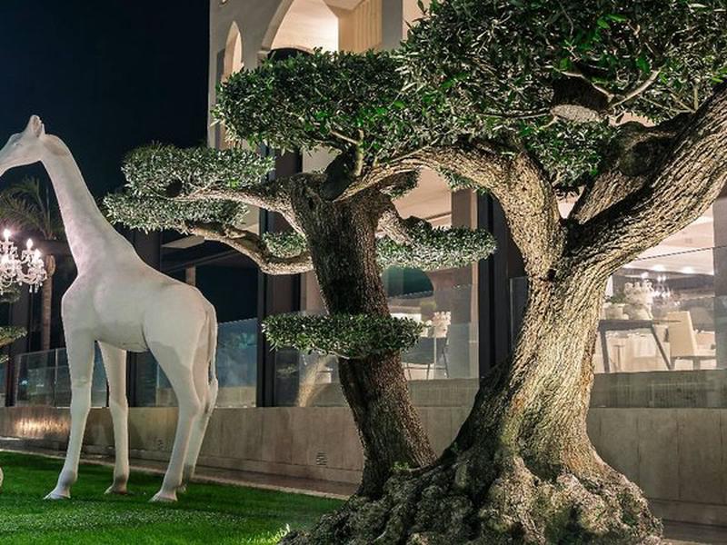 80EEFA79156E768B3459AF2FEA6FAA09