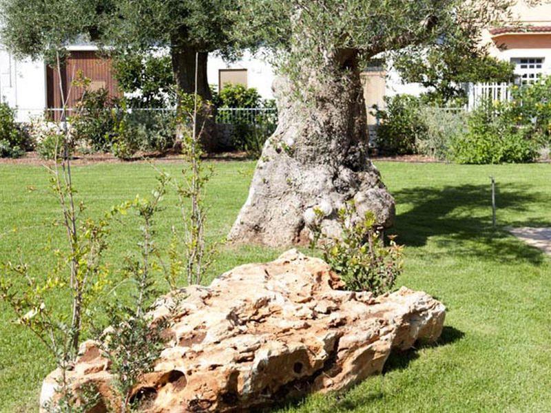 5150181FC6F4A0A89288D95A3801FA4D