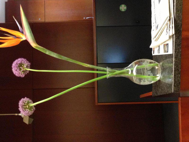 30693051BE27A4A69DA270C81F272B38