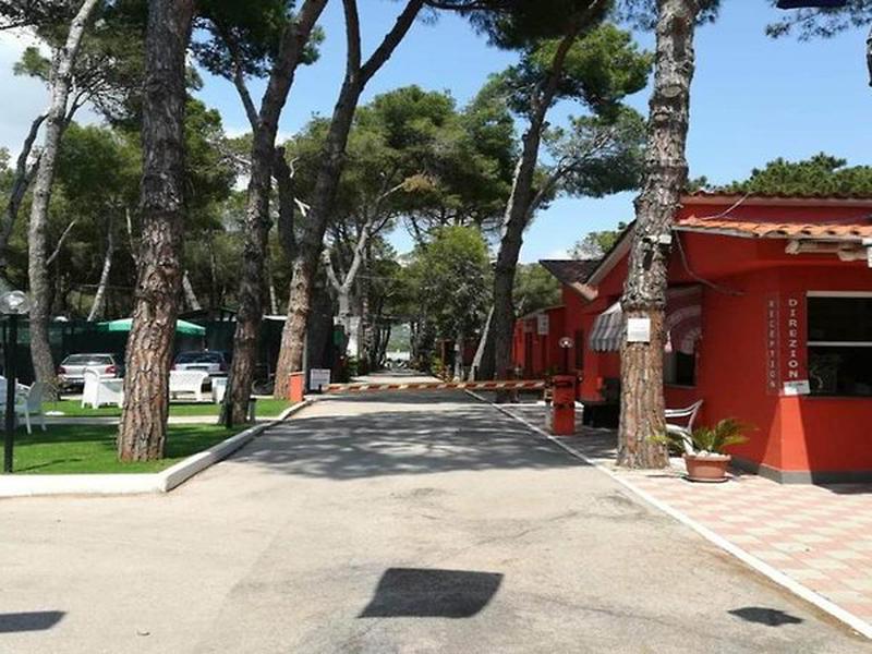 E165730B6ABB2ED0DD2D4D870EFBB3C0