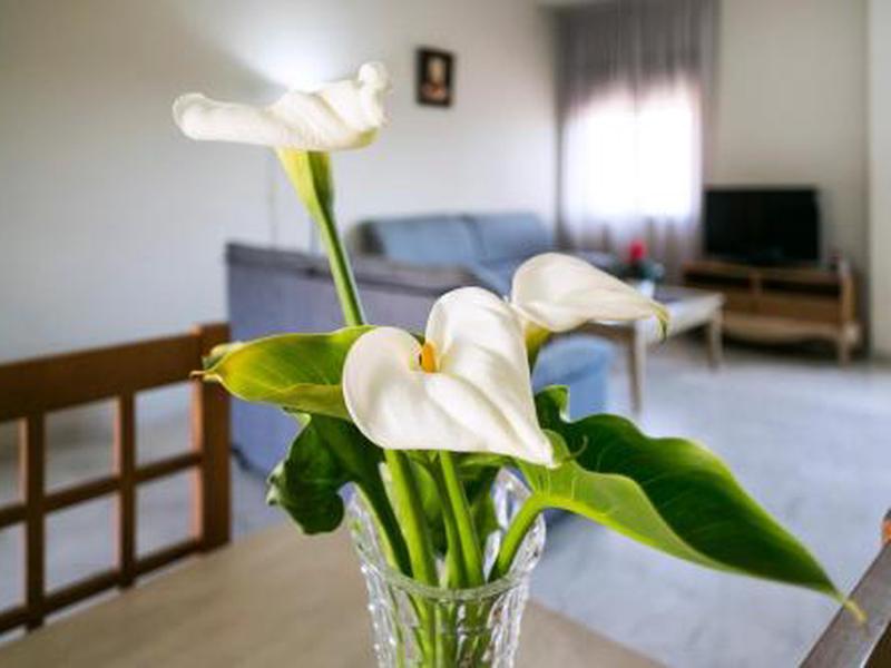 78D5A7785B5BD83EE5B70638D53EEEE0