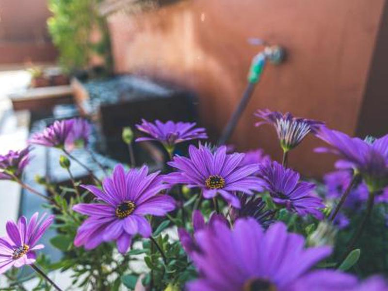 48C2ED9FE1A389B5926B04207135807E