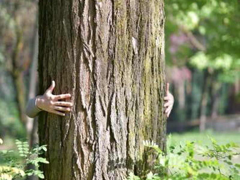 D64EC87A5E6EBA2EEE9AE39ACF8FF4C8