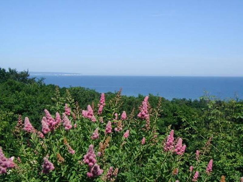 253F6DF7C3FE719817078FF86029C50B