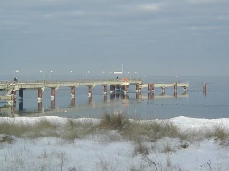 36EEC4E39293AA6C89C1E83E62900C14