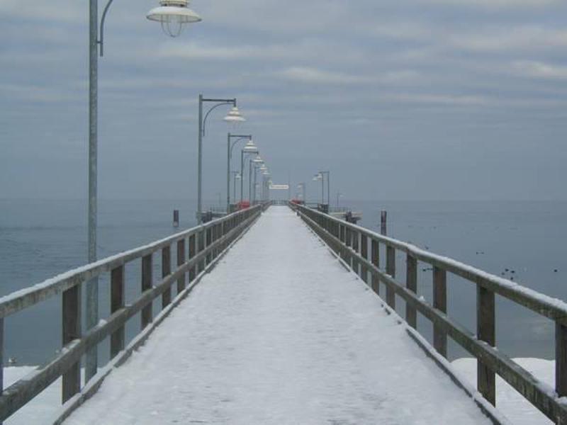 2DD11DFDCB997FA32ECE07C67D48A4E2