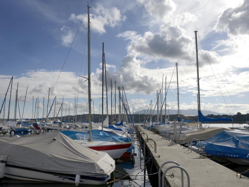 BC80AB5055789B610D8D00E997C0CE46