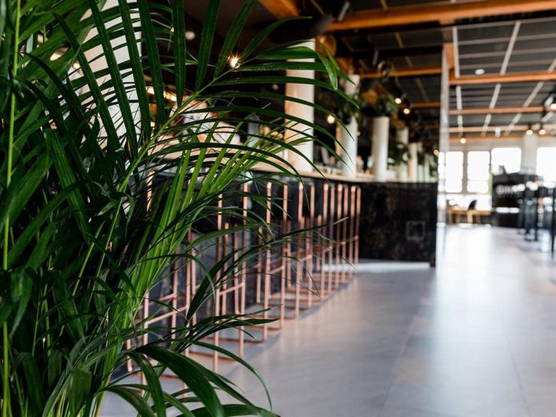 177467E35FB43D852E4D6BD5A8029A6B