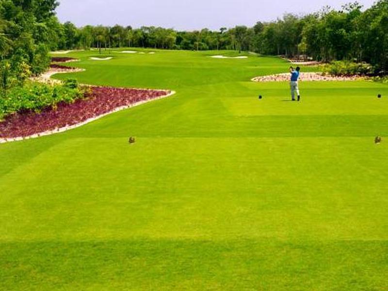 AE662B054698DB4AA485FB0ED78DC4A1