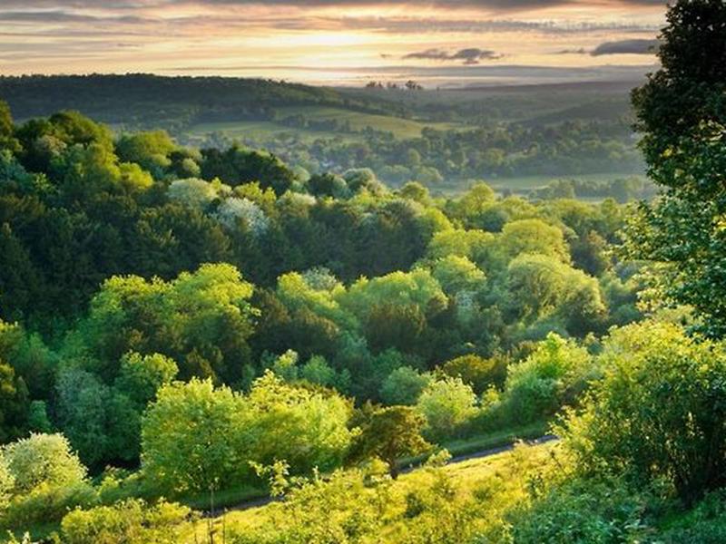 645C4155B65D6F4F77F9C26426C90F55