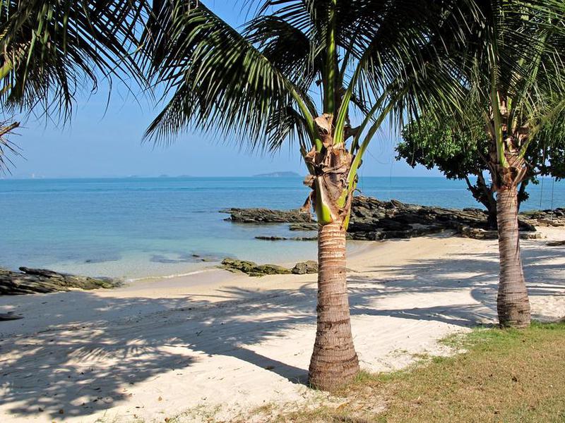 720687F3E1C413E8DFC93733833FF079