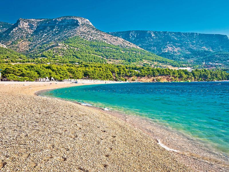 BC6AB555525DA34F45C27256741DFC43