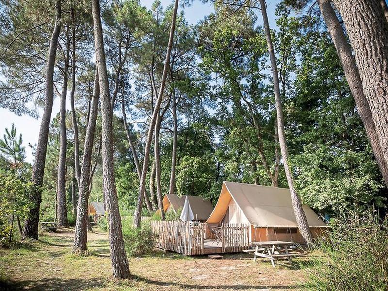 2E20ECF9D56C668D2E1C3C5BF0035507