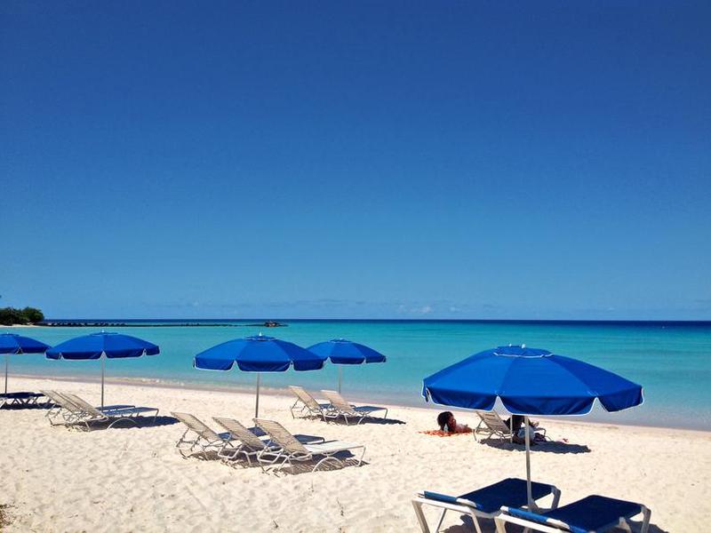 878E7491FC3C94F1217065DF716A8A33